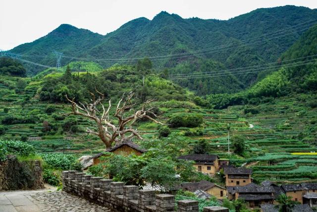 逛古村，喝咖啡，高端的度假就是这么朴实无华