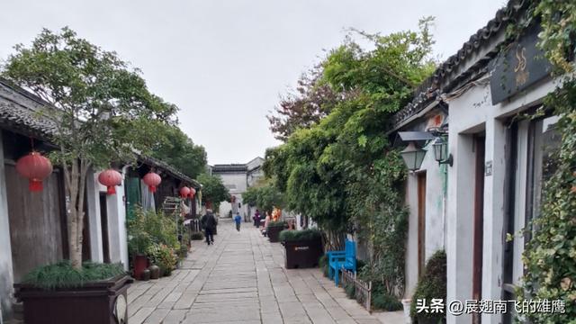 《满庭芳-咏震泽古镇》