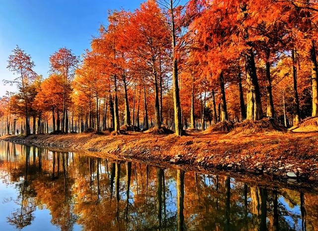 “董”与“徽”带火的皖南秘境,宣城的诗与烟火藏不住了!