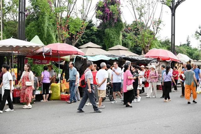 弥勒这个社区人气旺！800家民宿爆满~