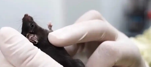 太燃！神舟二十一3.5小时极速对接天宫，中国太空通勤卷上新高度