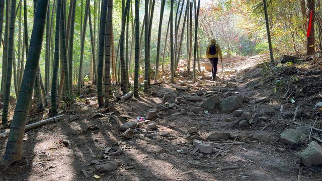 小而美徒步｜家门口的“小雨崩”：四明山十字裤，攻略指南