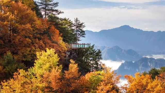 追了光雾山的红叶，这个秋天没白过！