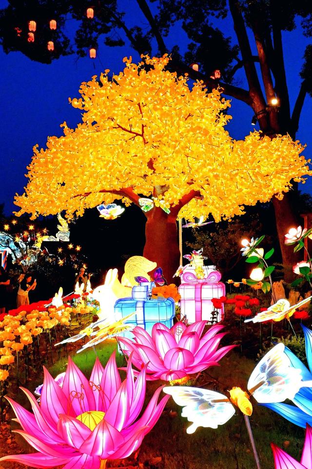 梅园秋夜的丝路传灯