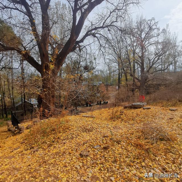 &066.探路北道沟（上）