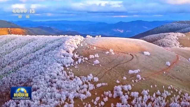 文化中国行丨二十四节气·霜降 霜降见霜 米谷满仓