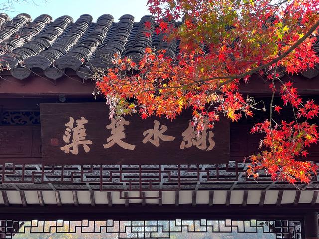 杭州红叶季：桂花之后百花杀，旖旎红叶胜百花。