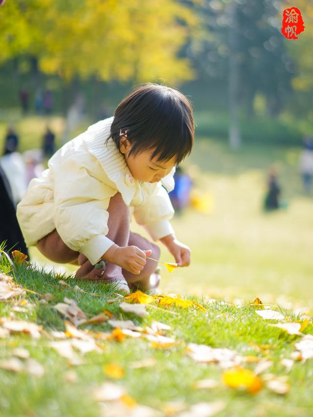 重庆中央公园的银杏黄了，奉上游玩秘籍与拍照攻略，喜欢速来