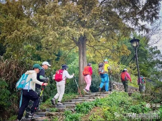 秋风起，浙江这条绝美海岛风光徒步穿越线路，可以安排了！