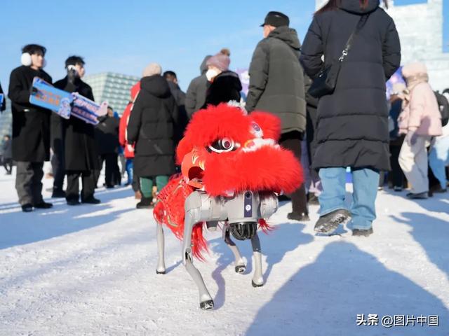 领首日冰 赏歌舞 第二十七届哈尔滨冰雪大世界开园活动连嗨三天