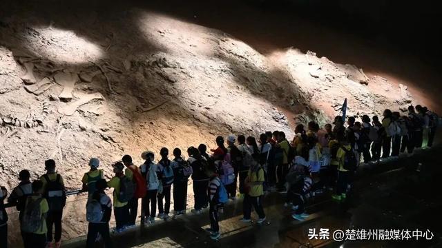 门票减免、研学优惠……禄丰恐龙谷发福利惠及特殊群体