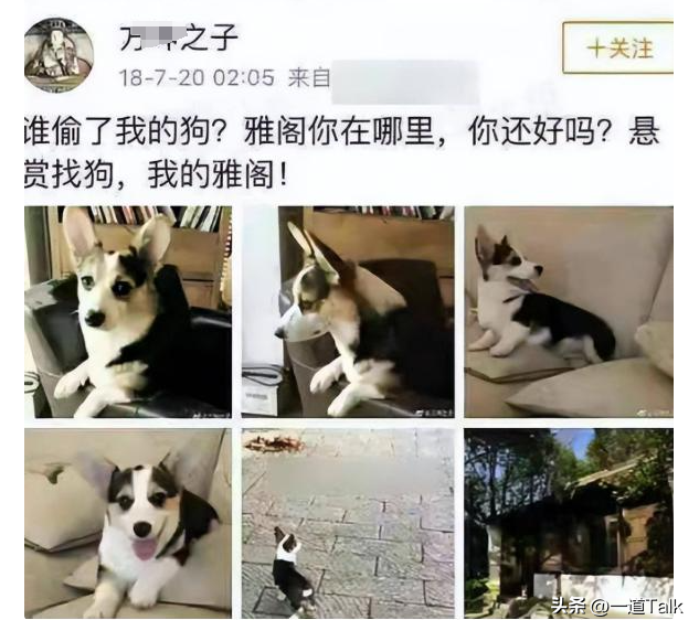 70岁晚节不保！袁立不再隐瞒，张国立丑闻曝光，该慌的不止李红