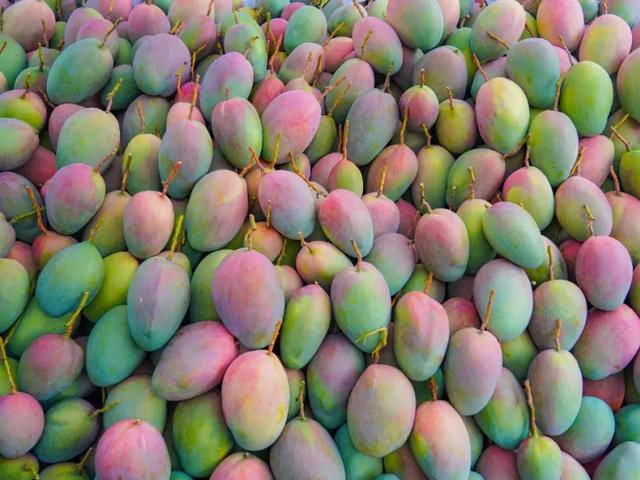 成都双子塔巨幕喊你赴约:“天气凉了,去米易吧!”