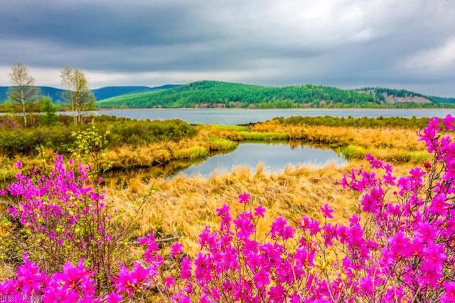 还没结束的花事，槽点太多了！