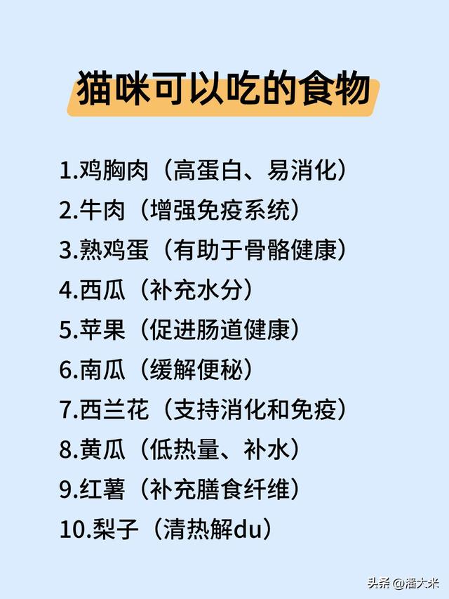 养猫必看！这些食物让猫活不过24小时，还有能吃的快收藏
