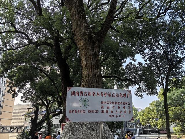 《敬谒浏阳烈士公园》