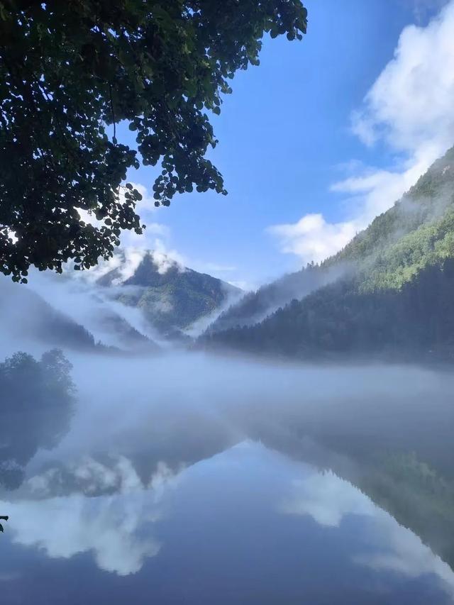 鱼跃天际、鸟翔水底，九寨沟邀你共赏夏日奇景~