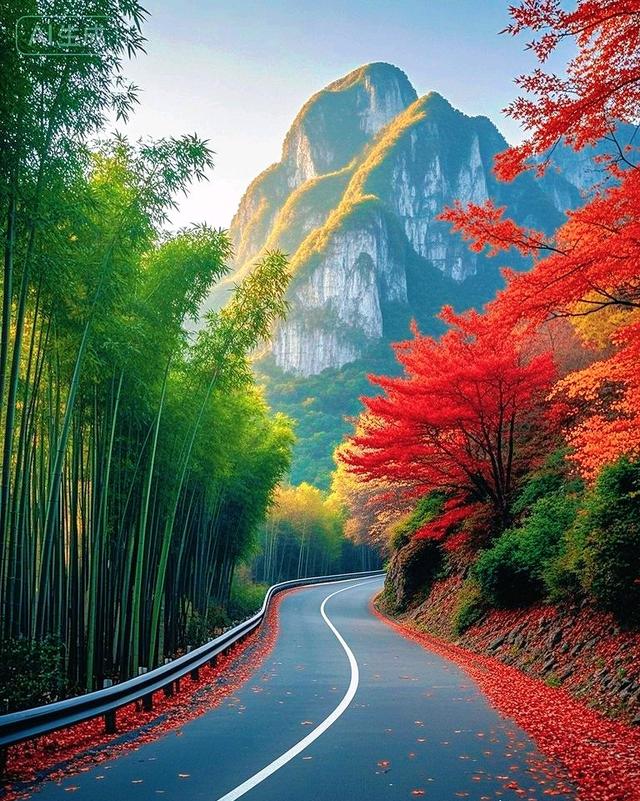 彩林竹海环山径，一径斑斓入画来