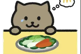 一只沉江的胖猫图片