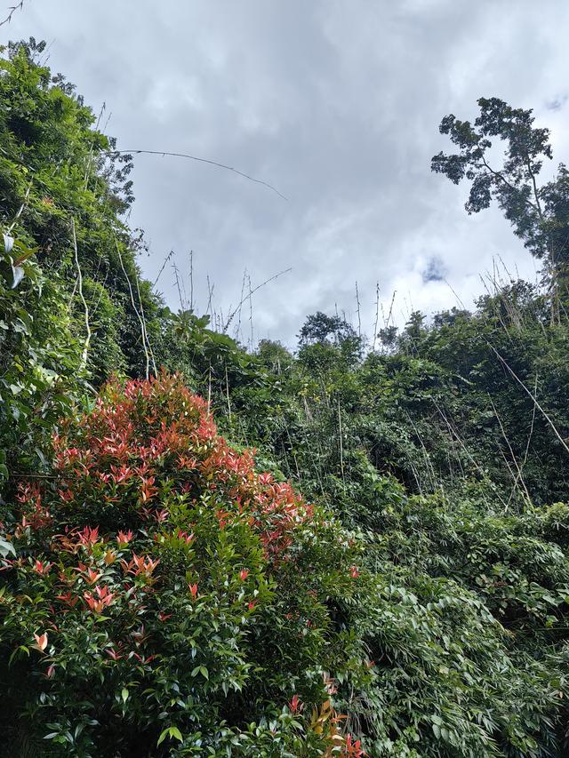 草民浅说:《海南自贸港的差距？》——游海南景区想开去！