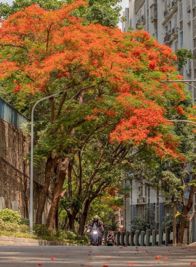避寒旅居首选！这9座城均温20℃起，人少便宜，好吃好玩，推荐！