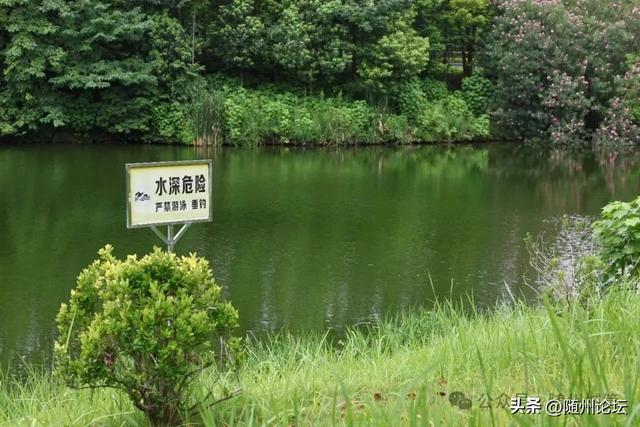 文化公园：筑牢安全堤坝，守护游客平安