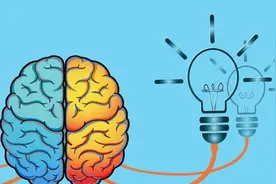 大脑开发程度其实一直都是无法用开发百分几的数值来衡量-脑博士图片