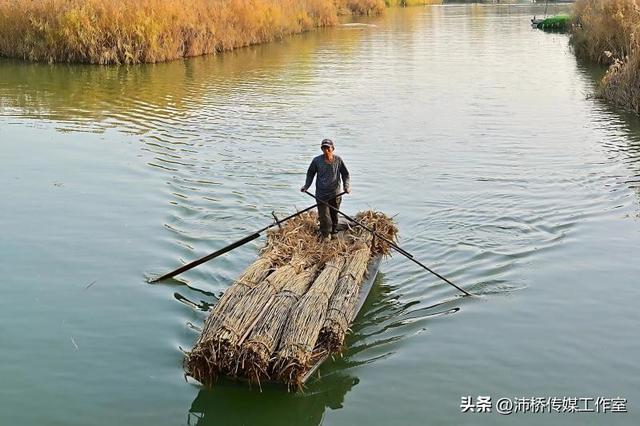 秋日白洋淀：千年水墨的自然魅力与人文故事