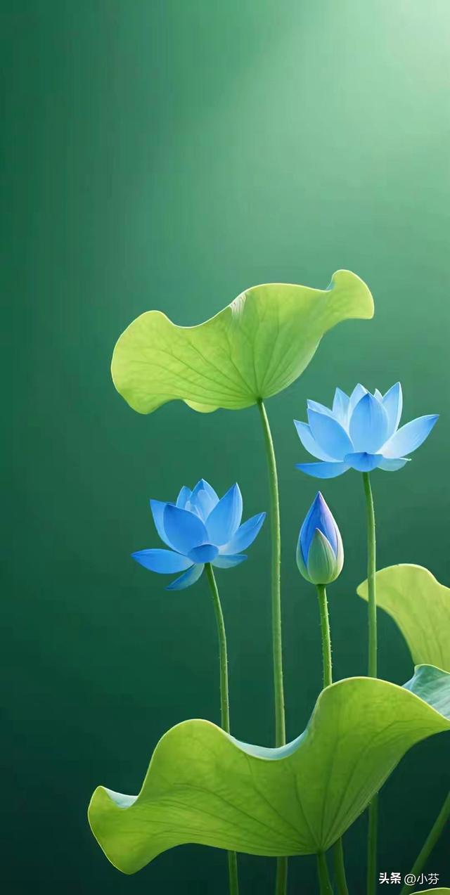 老了才明白：永远不要在儿媳妇面前，表现出这5种行为，切记