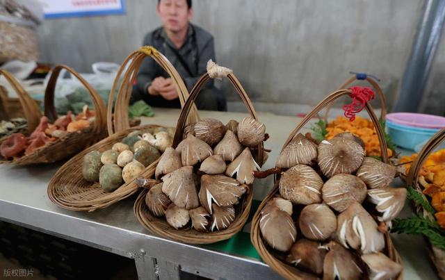 国内最适合宜居的城市之一，竟然不是大理昆明，而是云南普洱？