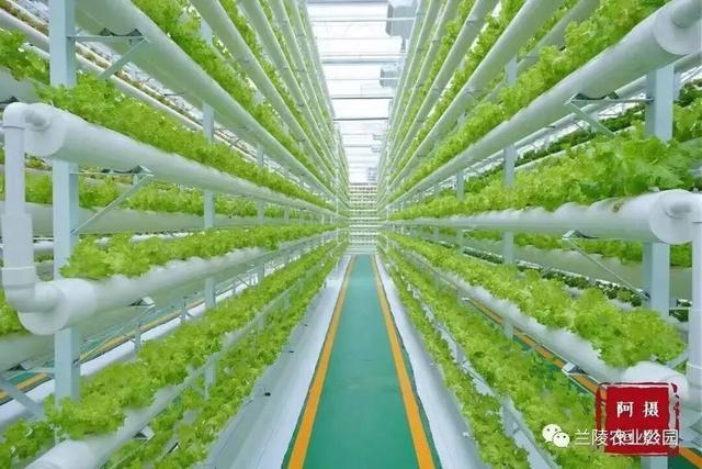 跟着色彩游临沂 | 斑斓秘境・山水写生之旅，解锁秋染沂蒙的N种美好