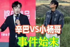 人民日报发文，三只羊被立案调查，律师透露罚款上限！图片