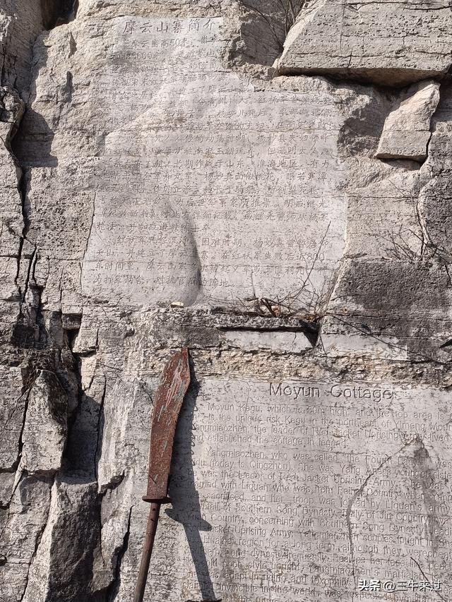 无为在歧路，免费仰天山