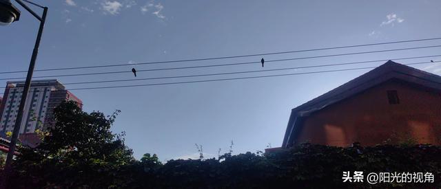 在呼和浩特的秋里，把日子过出滋味儿