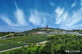 刚刚公布！沈阳只有这20家公墓合法！图片