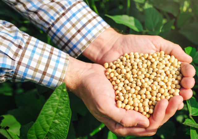 超2800亿大单，特朗普收到大礼！美高官为华发声：中国人说话算数