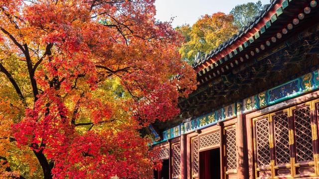 60岁之后一定要去一次！北京对老人免票的20+景点，不花钱还好玩