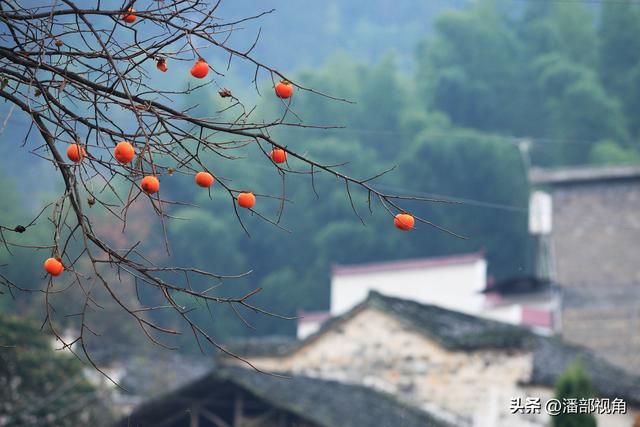 秋色塔川，无梦到徽州