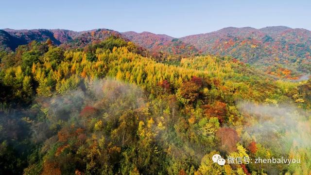 秋色浓度超标！汉中这座小城值得奔赴！