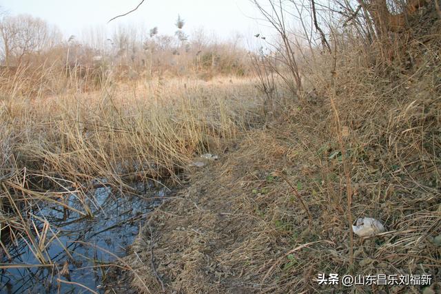 这一次外出闲游感慨颇多