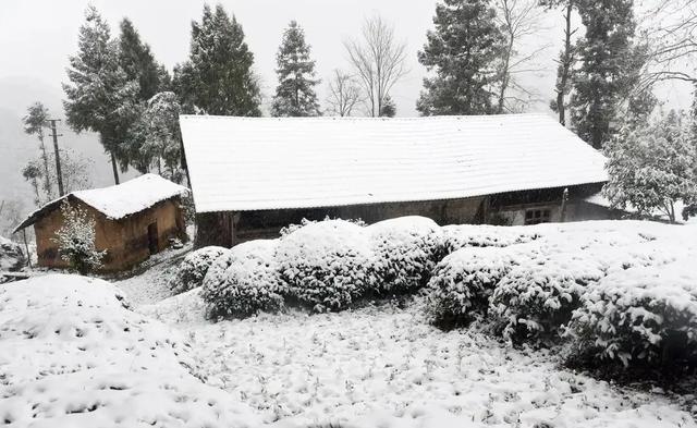 “最怕小雪是晴天”,今日小雪,小雪晴有啥预兆?