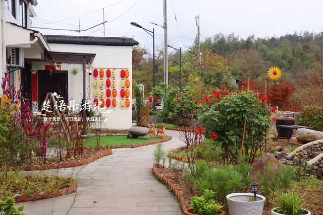 宁波四明山发现一个幽静山村，村口就是红枫银杏胜境，村内更好玩