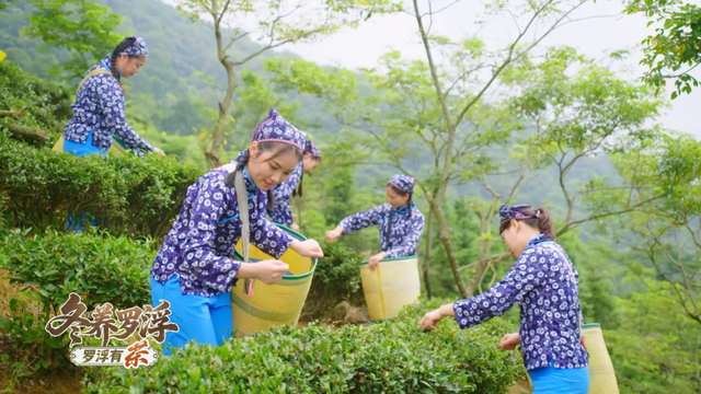 “冬养罗浮”康养品牌发布！在引领区过冬是怎样一种体验？