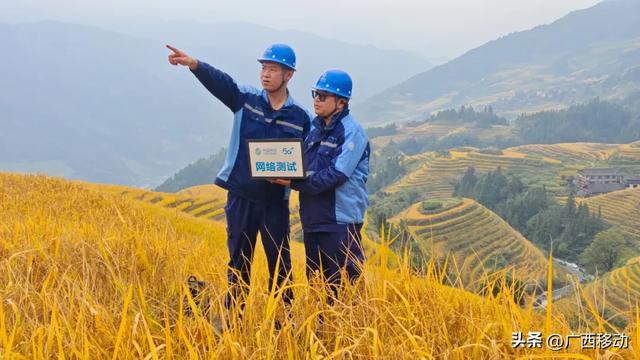 龙脊不“剪”秋,梯田收割正当时快来体验~