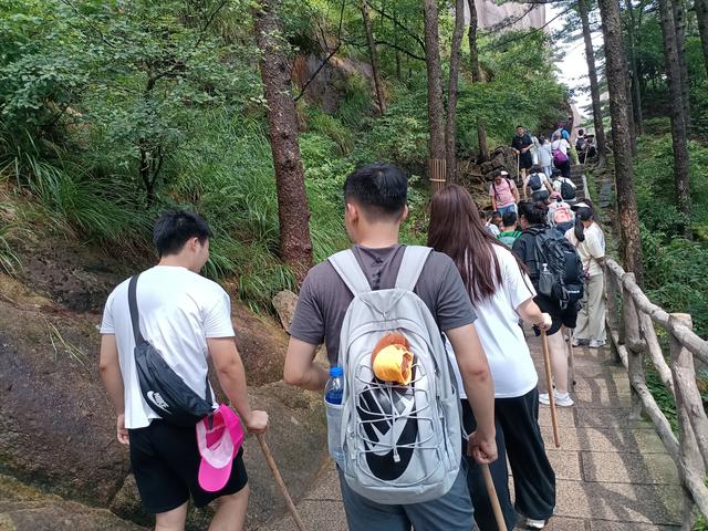 黄山一日游：在奇景与人心间丈量性价比