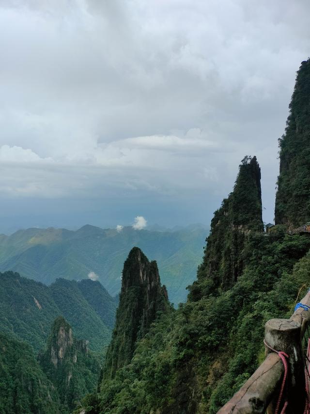 湘粤赣之旅（三）：莽山记