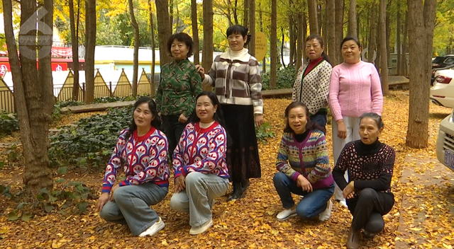 谁懂啊！昆明把冬天过成童话：观鸥、赏银杏、逛市集还能炫咖啡！