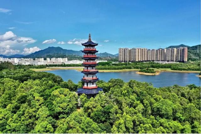 [广东 深圳市坪山区马峦街道]