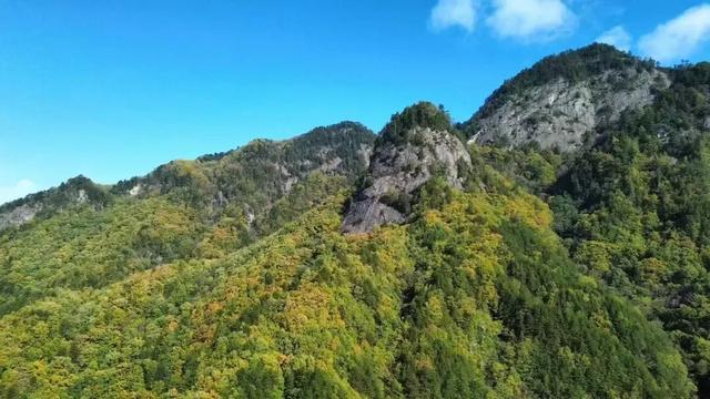 秋假冲鸭！佛坪“秋日乌托邦”，承包你的假日松弛感→