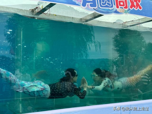紧急提醒！靖远海洋动物嘉年华剩最后2天，这份游玩攻略请收好！